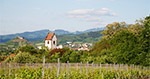 Staufen, Wettelbrunn